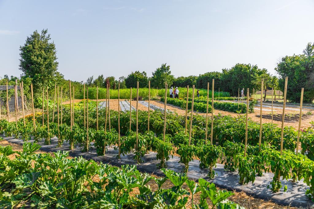 Legnaro La Posa Degli Agri B&B 외부 사진
